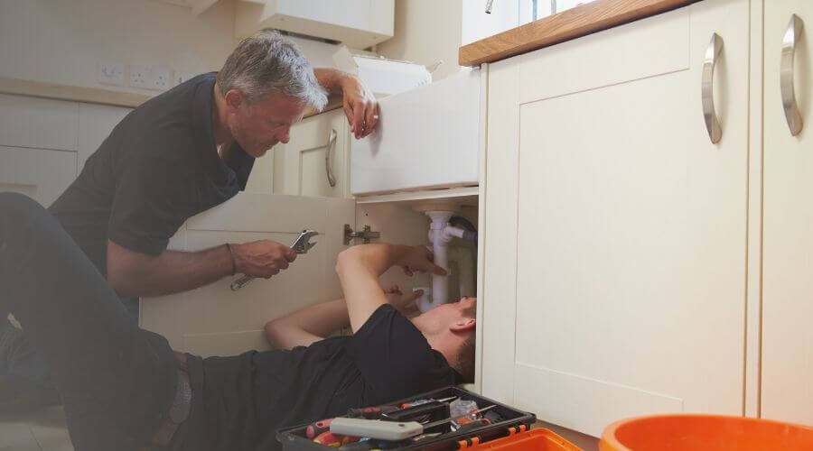 Professional Water Damage Mitigation services in Denmark, WI